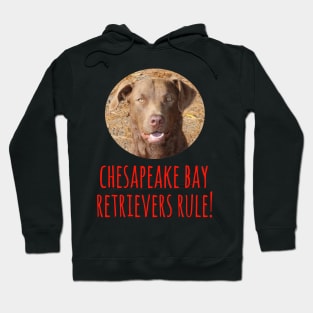 Chesapeake Bay Retrievers Rule! Hoodie